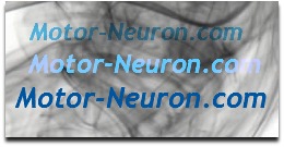motor-neuron.com badge link