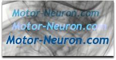 badge link for motor-neuron.com